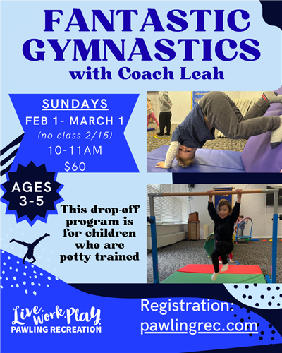 Fantastic Gymnastics flyer- Feb 2026