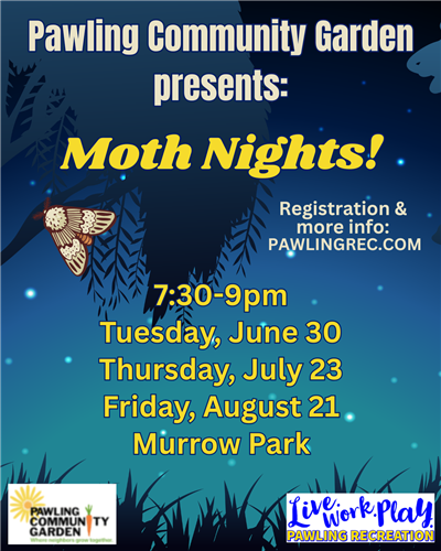 Moth night 2026