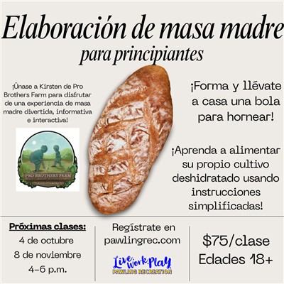 Sourdough classes 2025- Spanish