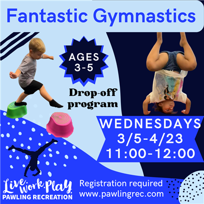 Fantastic Gymnastics flyer